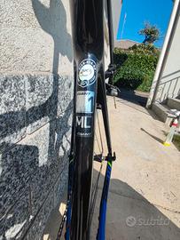 Bici da corsa Giant TCR advanced carbonio