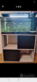 acquario compreso di pesciolini e accessori