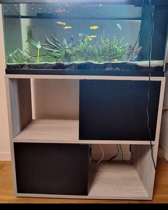 acquario compreso di pesciolini e accessori