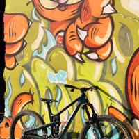 TELAIO propain tyee cf 6 L