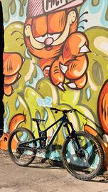 TELAIO propain tyee cf 6 L