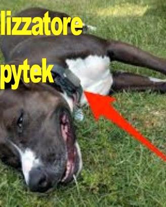Localizzatore solare per cani gatti mucche pecore