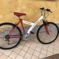 Mountain Bike da 26 con sospensioni