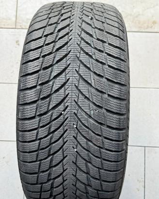 Pneumatici invernali Nokian 245/45 R19 102V