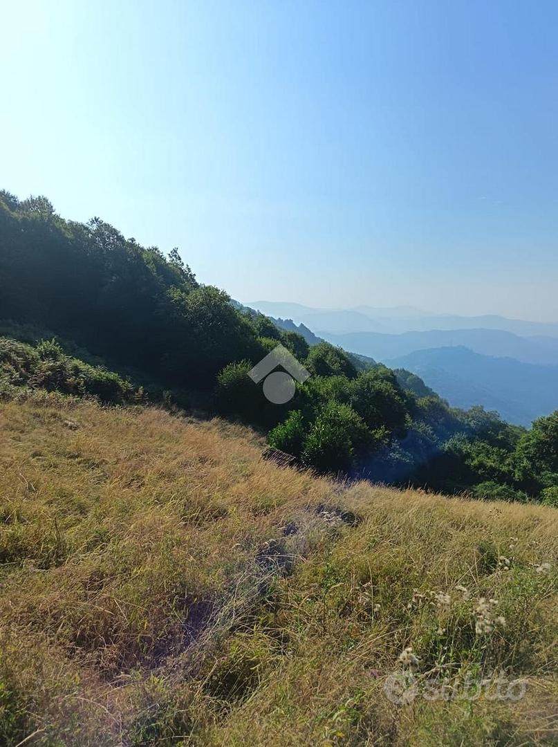 TER. AGRICOLO A MIGNANEGO - Vista 5