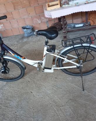 Bici elettrica