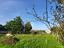 Immagine 12