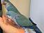 Immagine 3