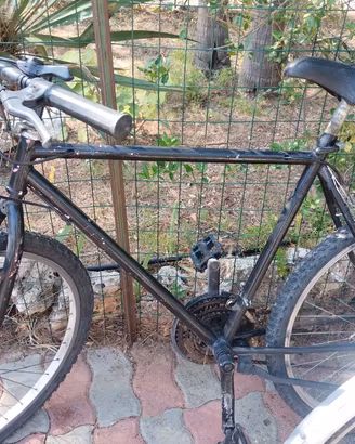 MTB 26