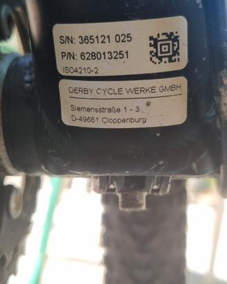 MTB modello FOCUS  TAGLIA M  gomme 29