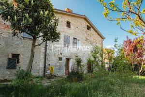 Soluzione Terratetto con giardino privato