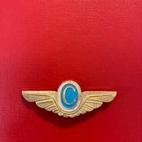 Spilla sovietica Aereoflot anni 70/80
