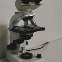 microscopio WILL Wetzlar