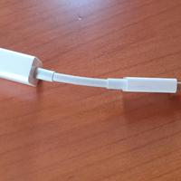 Apple Adattatore Thunderbolt a Gigabit Ethernet