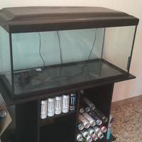 Acquario 250 litri