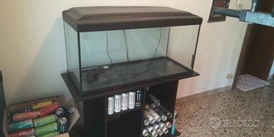 Acquario 250 litri