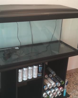 Acquario 250 litri