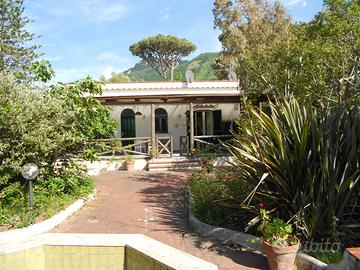 Appartamento a forio