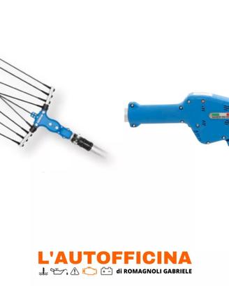 Abbacchiatori Paterlini-Stalea Nuovi  