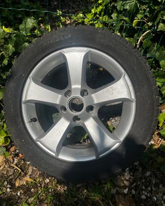 Cerchi Vw