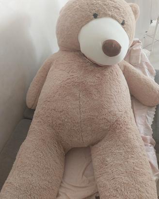 orso gigante
