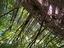 Immagine 19