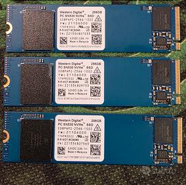 Western D. SSD M2 pcie 3.0 256GB pz 2 dispo
