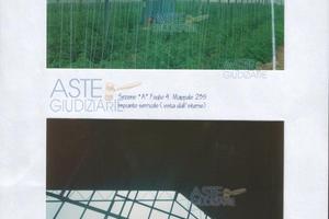 Terreno Agricolo Masainas [A314228]