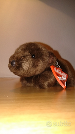 Castoro peluche