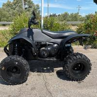 Quad Polaris scrambler 500