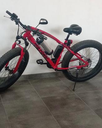 bicicletta elettrica