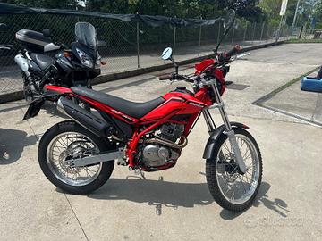 Beta Alp 200
