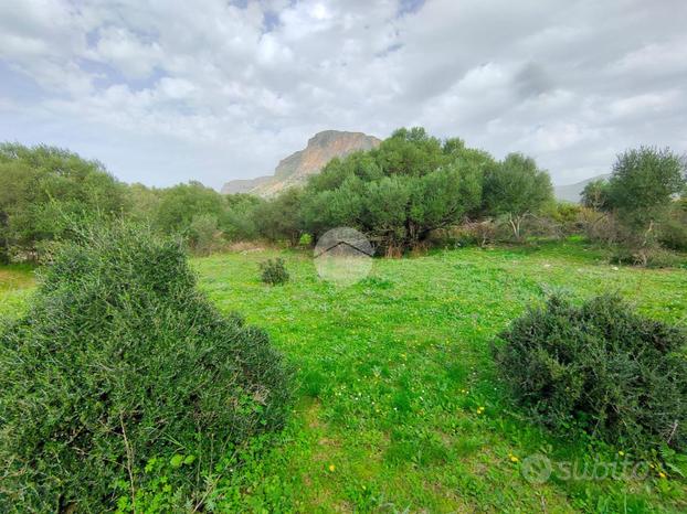 TER. AGRICOLO A TERRASINI