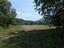Immagine 12