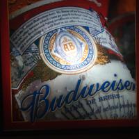 light box  budweiser