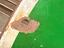 Immagine 4
