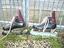 Immagine 4