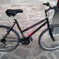 bicicletta donna