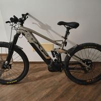 Mountain e-bike