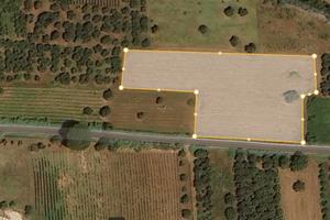 Terreno agricolo SP Falciano-Mondragone