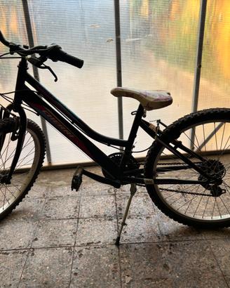 Mtb 24 cherry