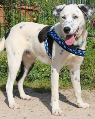 Simpaticissimo 9 mesi