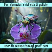 Grafico creatore immagini