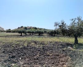 Terreno edificabile