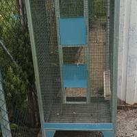 voliera per uccelli 