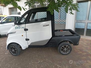 PIAGGIO Porter NP6 RUNHORSE MINI TRUK ELETTRICO