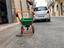 Immagine 6