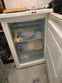 congelatore verticale Rex Electrolux 