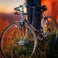 Bici Artigianale su telaio Maino