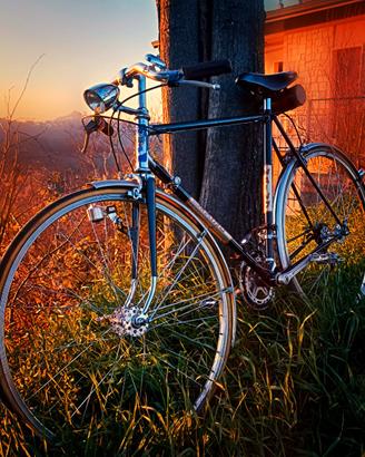 Bici Artigianale su telaio Maino
